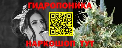 Альфа ПВП Лесной