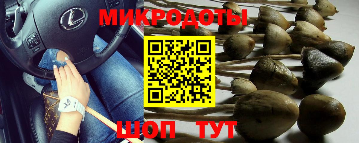 Псилоцибиновые грибы GOLDEN TEACHER  Вход с VPN  Касимов 