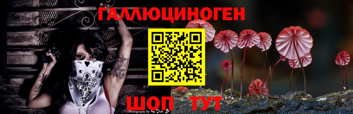 Псилоцибиновые грибы мицелий Касимов